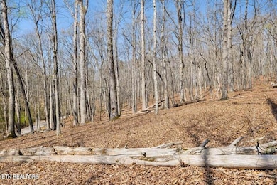 1300 Old Sugar Limb Rd, Loudon, TN 37774 - photo 7