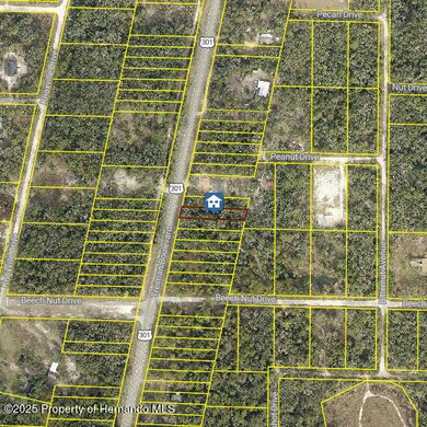LOT 28 Treiman Blvd, Webster, FL 33597 - photo 2