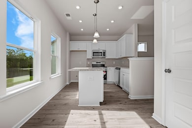 74 Cove Rd, Chickamauga, GA 30707 - photo 7