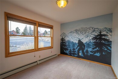 480 Witcher Ln, Fairplay, CO 80440 - photo 4