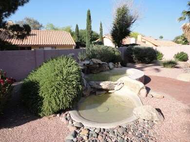 BACKYARD #2