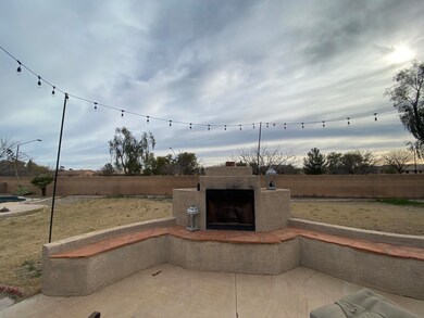 Backyard 5