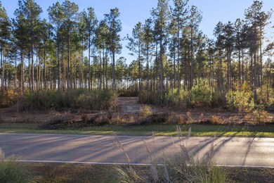 750_Rifle_Range_Rd_Lot_3-3