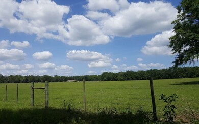 TBD Paul Pearce Ln, Lake City, FL 32024 - photo 3