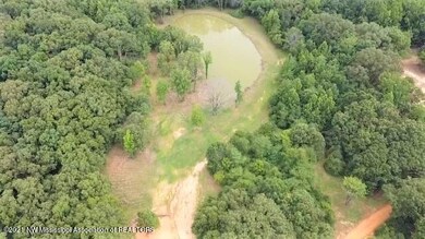 10 Acres - Bolin Rd - Aerial 3