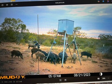 3287 Cr 349, Charlotte, TX 78011 - photo 4