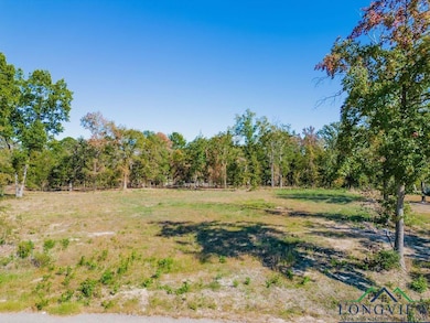 TBD Angus Rd, Big Sandy, TX 75755 - photo 3