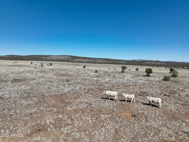Juniperwood Ranch Lot 99