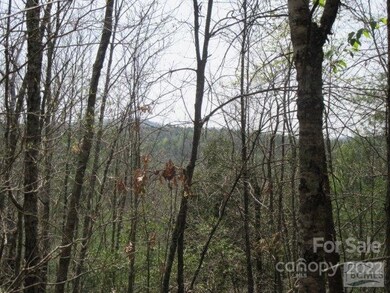 Long Range Views