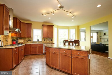 21481 Great Sky Place, Broadlands, VA 20148 - photo 7