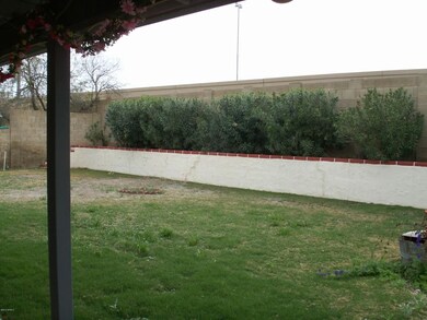 CAMPBELL BACKYARD