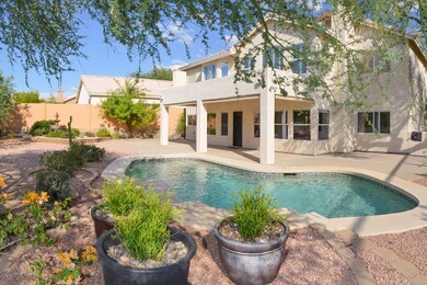 37 Back Yard