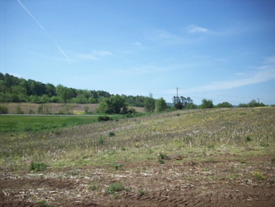 1 E Highway 90 Bypass, Monticello, KY 42633 - photo 7