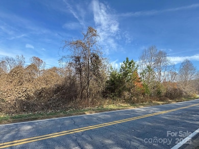 000 Thunder Rd, Rutherfordton, NC 28139 - photo 3