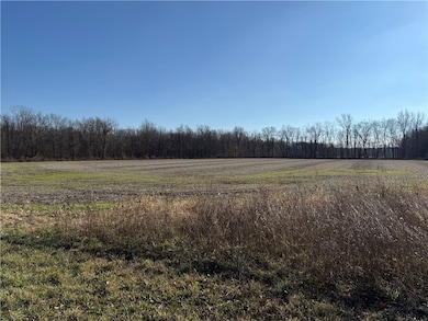 0 Lynch Rd unit R1653187, Murray, NY 14470 - photo 5