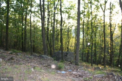 827 Cardinal View Rd, Bloomery, WV 26817 - photo 5