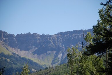 views through trees