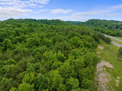 0 S Liberty Hill Rd unit 703697, Morristown, TN 37814 - photo 7