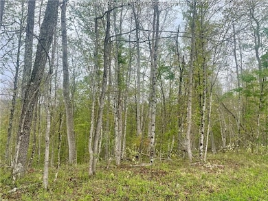 0 Siniaville Rd unit 281379, Ripley, WV 25271 - photo 4