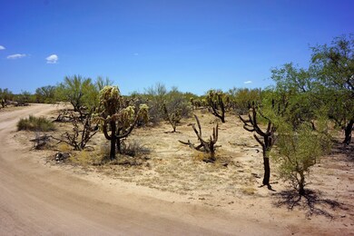 14868 W Lost Valley Loop 3