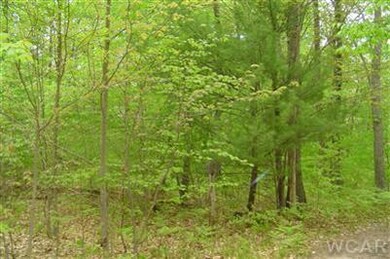 0 N Felch Ave unit 12029443, Sherman Township - Newaygo, MI 49349 - photo 7