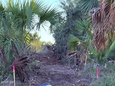 Driveway recently cut thru