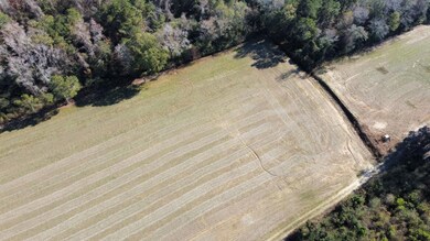 20.85 Acres Highway 917, Nichols, SC 29581 - photo 4