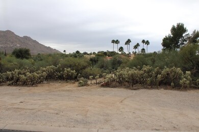 115 W Greenock Dr unit 204, Oro Valley, AZ 85737 - photo 2