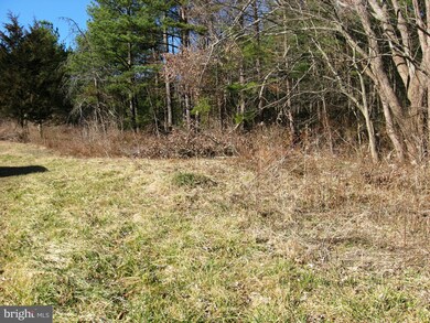 0 Orkney Grade Rd unit VASH118720, Mount Jackson, VA 22842 - photo 4