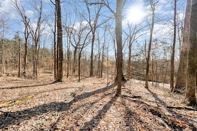 1009 Scramblers Knob, Franklin, TN 37069 - photo 6