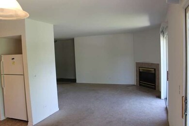 1800 W Highland Ave unit A, Elgin, IL 60123 - photo 4