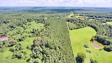 00 Graves Rd, Holly Springs, MS 38635 - photo 2