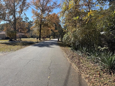 3285 Lake Dr, Lawrenceville, GA 30044 - photo 2