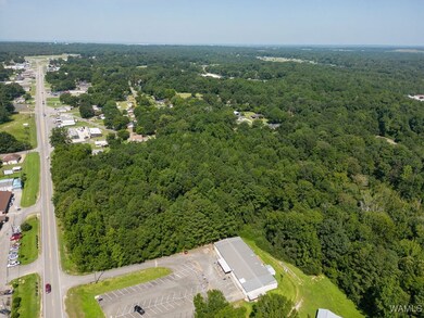 00 University Blvd E, Cottondale, AL 35453 - photo 4