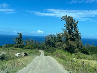 45-5060 Nanaina Kai Rd, Honokaa, HI 96727 - photo 3