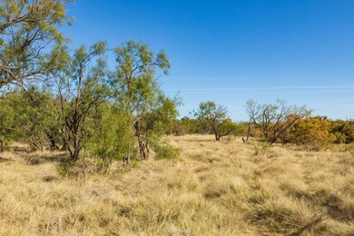 Fm2142, Hamlin, TX 79520 - photo 5