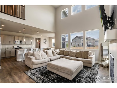 6398 Verna Ct, Timnath, CO 80547 - photo 7