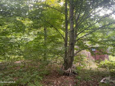 IMG_0179