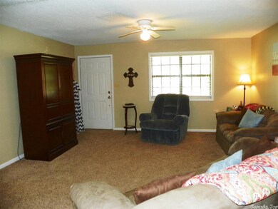 4205 Cedar Valley Dr, Paragould, AR 72450 - photo 3