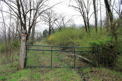 18740 S Highway 71, Winslow, AR 72959 - photo 4