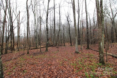 4+/-AC LOT 2 Eaker Rd, Kings Mountain, NC 28086 - photo 3