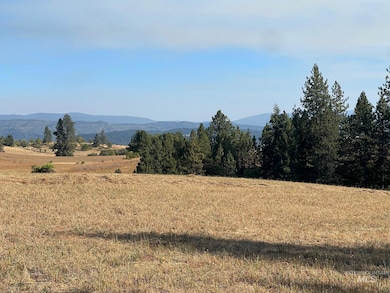 181 Harris Ridge Loop, Kooskia, ID 83539 - photo 6