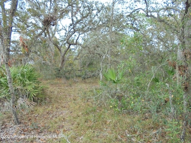 0 Fiscus Dr, Shady Hills, FL 34610 - photo 4