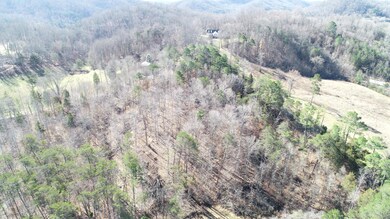 DJI_0024