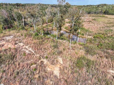 192 Putman Rd, Buffalo, SC 29321 - photo 5