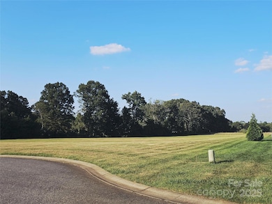 1204 Dublin Ct, China Grove, NC 28023 - photo 4