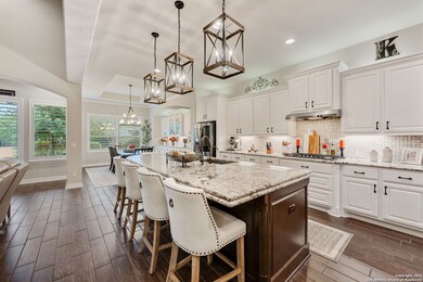 22911 Canasta, San Antonio, TX 78261 - photo 3