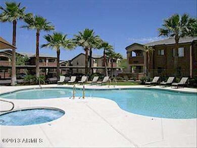 Copy of palm trails 3