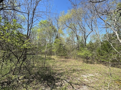 0 Canoe Branch Rd unit RTC3047448, Lebanon, TN 37087 - photo 3