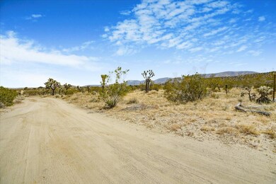 0, Pearblossom, CA 93553 - photo 3